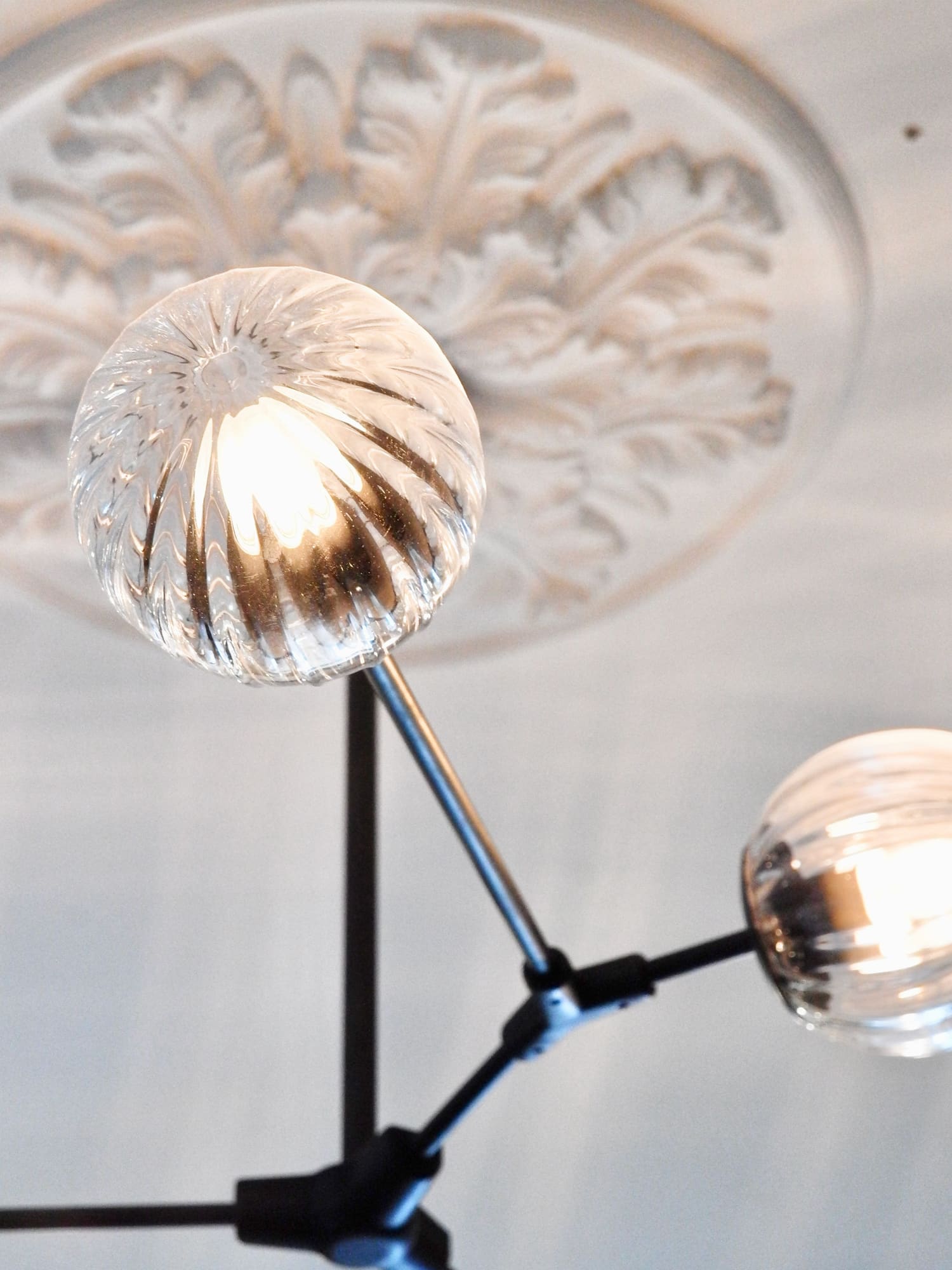 Ribbed glass globe pendant beneath an ornate plaster ceiling rose