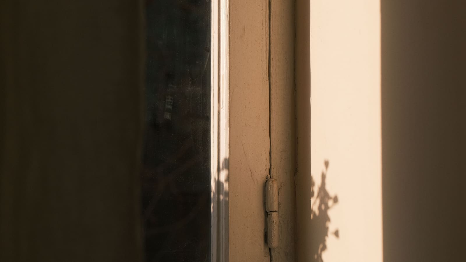 Low sunlight on a painted timber casement window and hinge, with a leaf's shadow on the wall